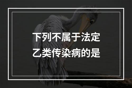 下列不属于法定乙类传染病的是