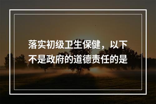 落实初级卫生保健，以下不是政府的道德责任的是