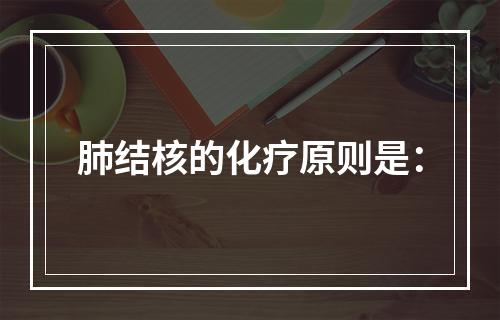 肺结核的化疗原则是：