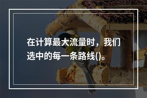 在计算最大流量时，我们选中的每一条路线()。