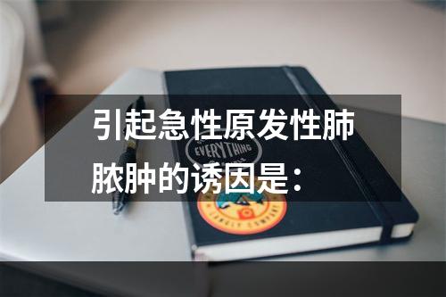 引起急性原发性肺脓肿的诱因是：