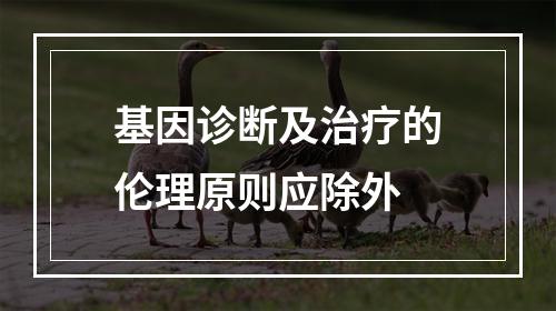 基因诊断及治疗的伦理原则应除外