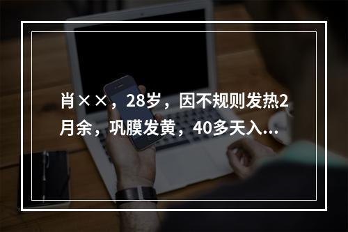 肖××，28岁，因不规则发热2月余，巩膜发黄，40多天入院。