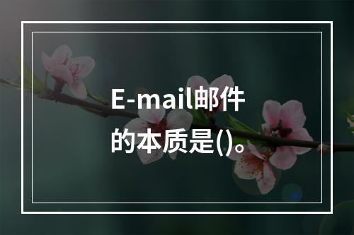 E-mail邮件的本质是()。