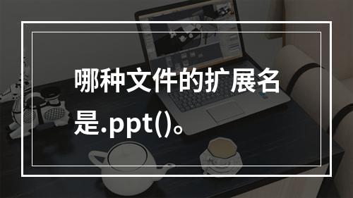 哪种文件的扩展名是.ppt()。