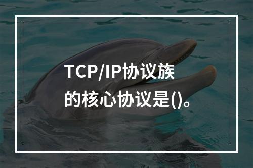 TCP/IP协议族的核心协议是()。