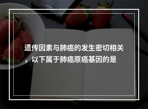 遗传因素与肺癌的发生密切相关，以下属于肺癌原癌基因的是