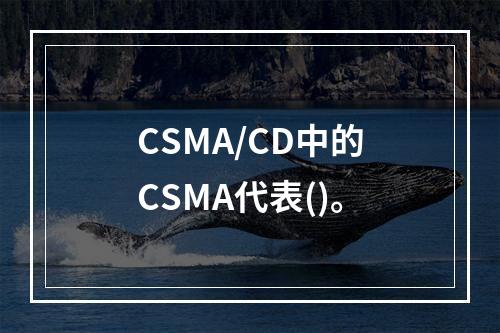 CSMA/CD中的CSMA代表()。