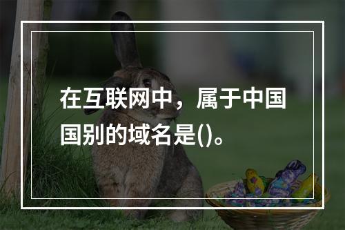 在互联网中，属于中国国别的域名是()。