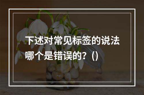 下述对常见标签的说法哪个是错误的？()