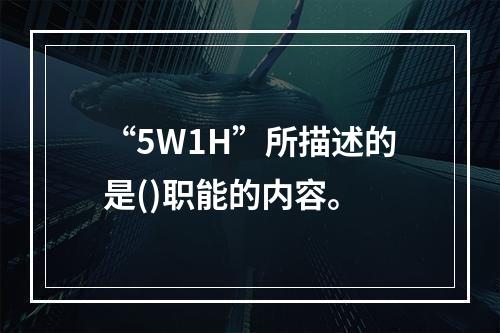 “5W1H”所描述的是()职能的内容。