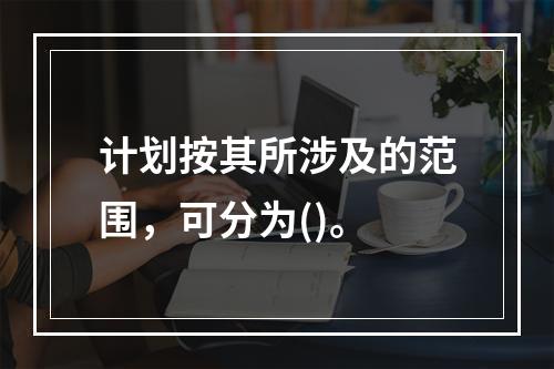 计划按其所涉及的范围，可分为()。