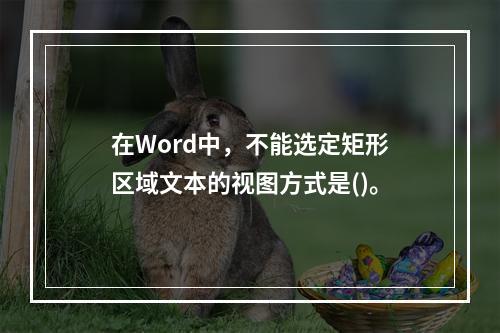 在Word中，不能选定矩形区域文本的视图方式是()。