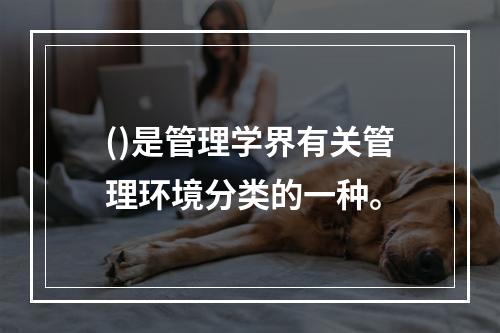 ()是管理学界有关管理环境分类的一种。