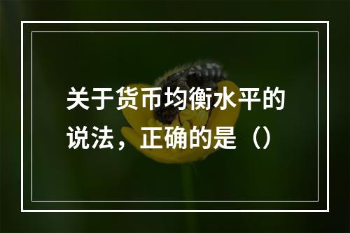 关于货币均衡水平的说法，正确的是（）