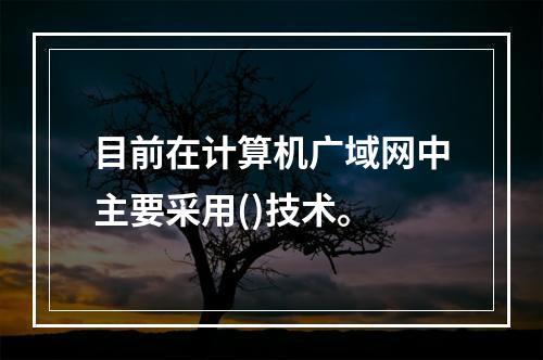 目前在计算机广域网中主要采用()技术。