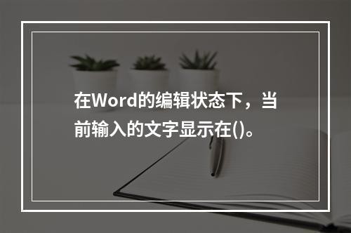 在Word的编辑状态下，当前输入的文字显示在()。