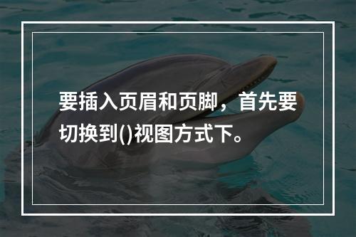 要插入页眉和页脚，首先要切换到()视图方式下。