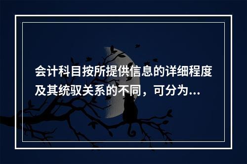 会计科目按所提供信息的详细程度及其统驭关系的不同，可分为（