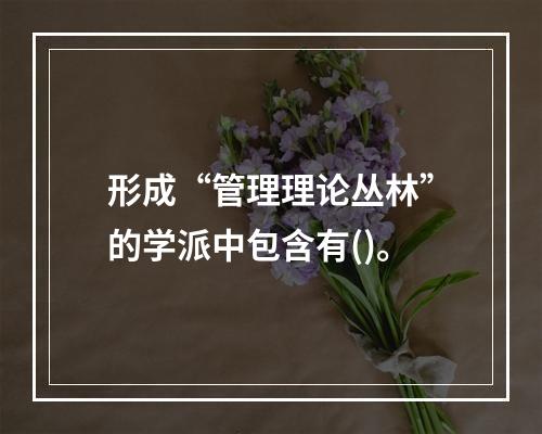 形成“管理理论丛林”的学派中包含有()。