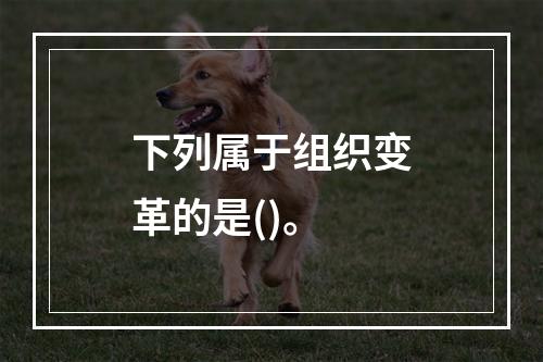 下列属于组织变革的是()。