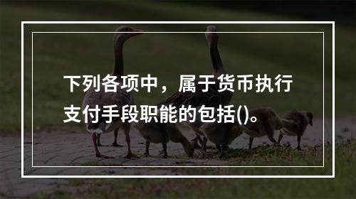 下列各项中，属于货币执行支付手段职能的包括()。