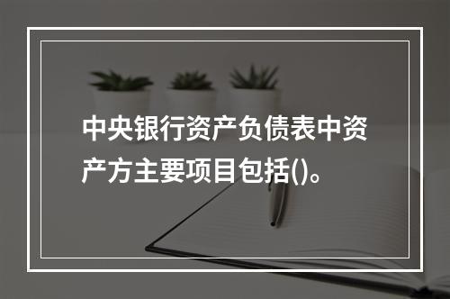 中央银行资产负债表中资产方主要项目包括()。