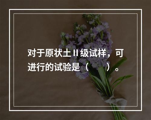 对于原状土Ⅱ级试样，可进行的试验是（　　）。