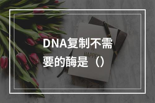 DNA复制不需要的酶是（）