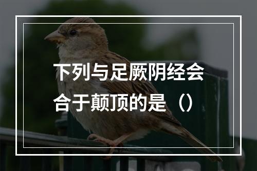 下列与足厥阴经会合于颠顶的是（）