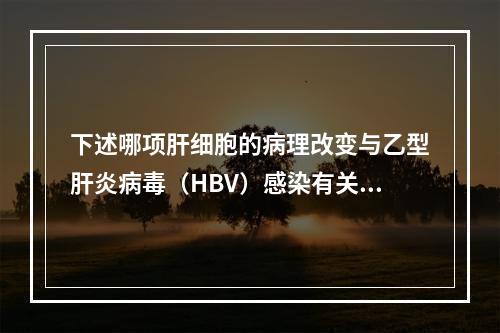 下述哪项肝细胞的病理改变与乙型肝炎病毒（HBV）感染有关？（