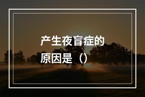 产生夜盲症的原因是（）