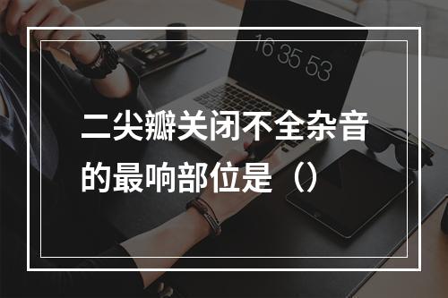 二尖瓣关闭不全杂音的最响部位是（）