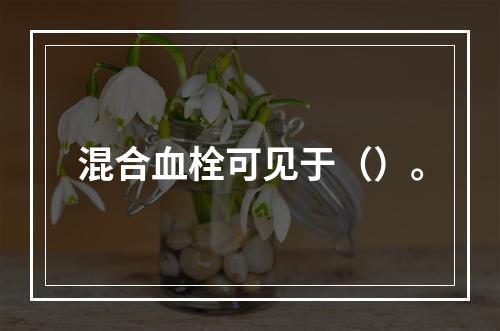 混合血栓可见于（）。