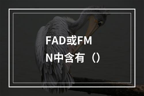 FAD或FMN中含有（）