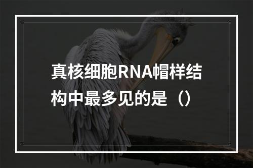 真核细胞RNA帽样结构中最多见的是（）