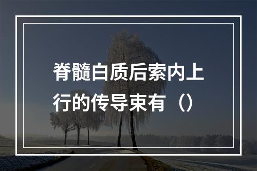 脊髓白质后索内上行的传导束有（）