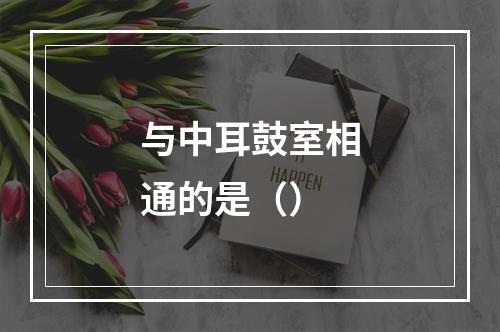 与中耳鼓室相通的是（）