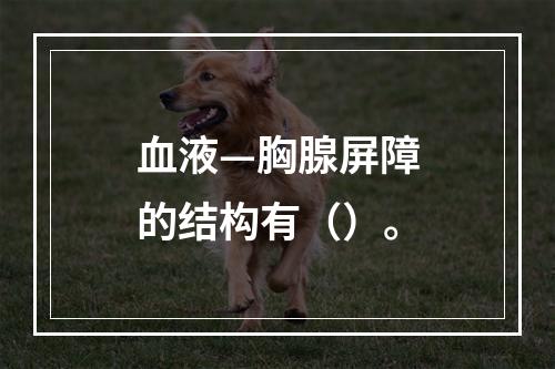 血液—胸腺屏障的结构有（）。