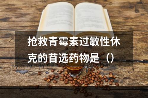 抢救青霉素过敏性休克的苜选药物是（）