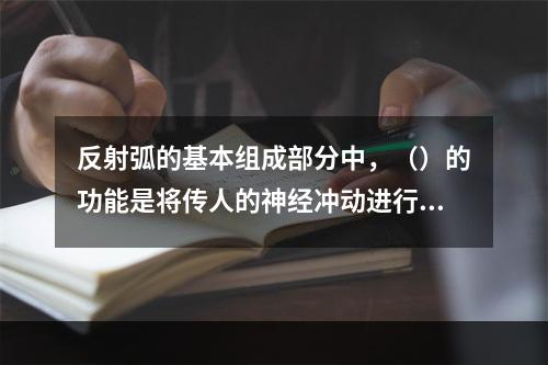 反射弧的基本组成部分中，（）的功能是将传人的神经冲动进行分析