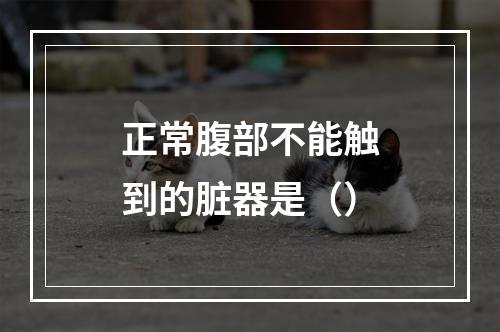 正常腹部不能触到的脏器是（）