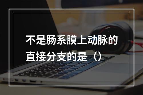 不是肠系膜上动脉的直接分支的是（）