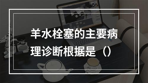 羊水栓塞的主要病理诊断根据是（）