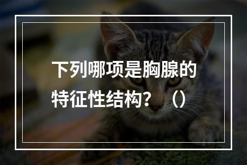 下列哪项是胸腺的特征性结构？（）