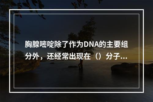 胸腺嘧啶除了作为DNA的主要组分外，还经常出现在（）分子中（