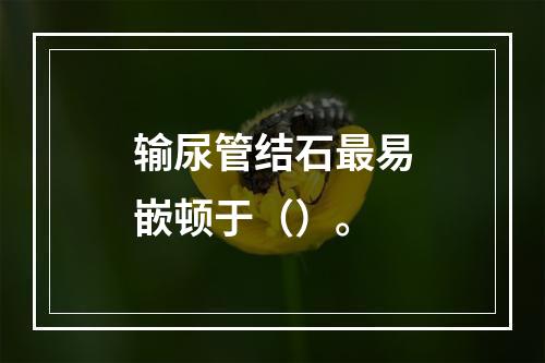 输尿管结石最易嵌顿于（）。