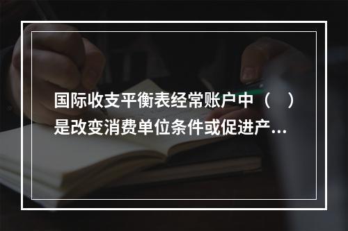 国际收支平衡表经常账户中（　）是改变消费单位条件或促进产品或