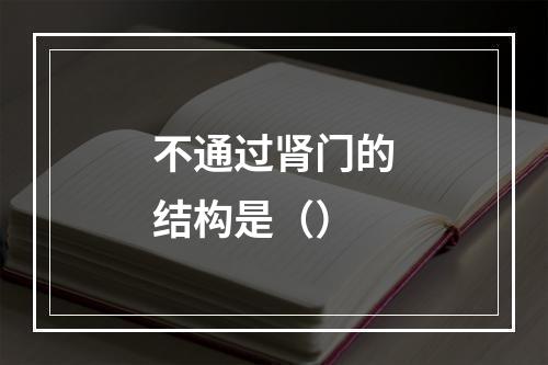 不通过肾门的结构是（）