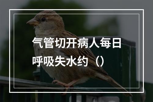 气管切开病人每日呼吸失水约（）